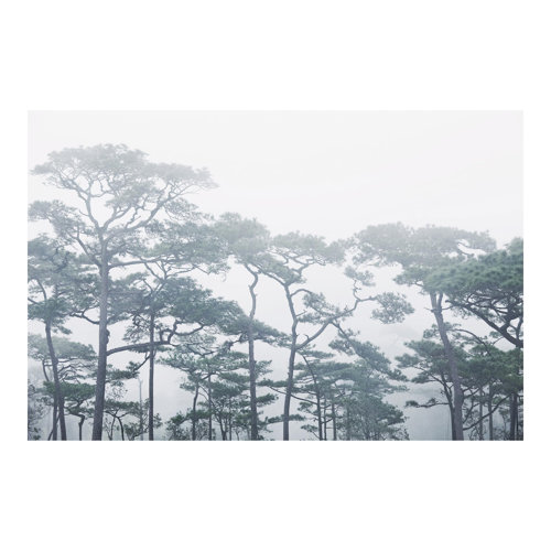Treetops in Fog 3.2m x 4.8m Textured Matte Peel & Stick Wall Mural East Urban Home