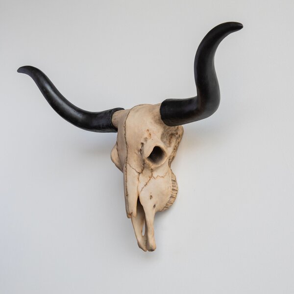19" Huge faux Steer cow bull horns skull mount USA steel metal garage sign