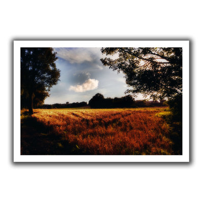 Farmville by John Black Photographic Print on Rolled Canvas ArtWall