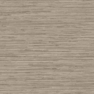 brown solid color wallpaper you ll love