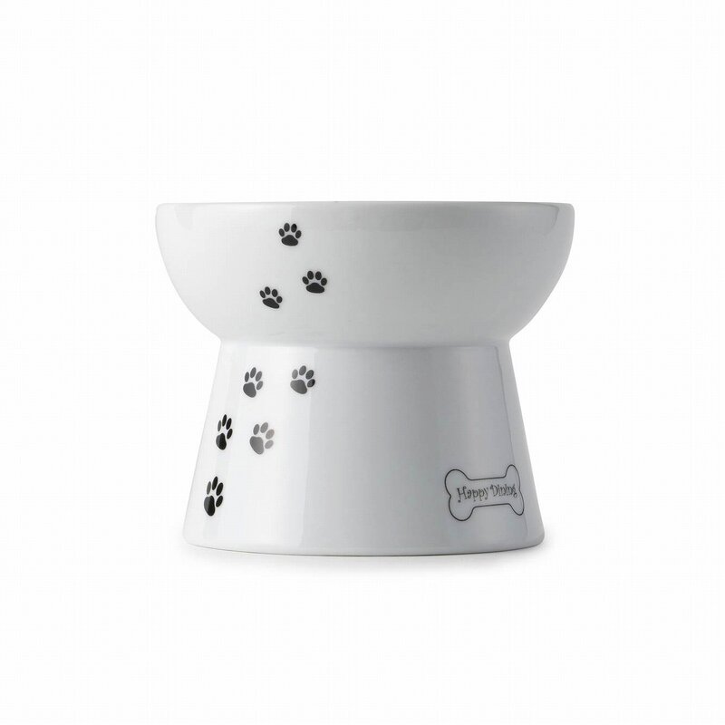 raised dog water bowl