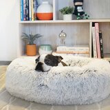 cool dog beds for sale