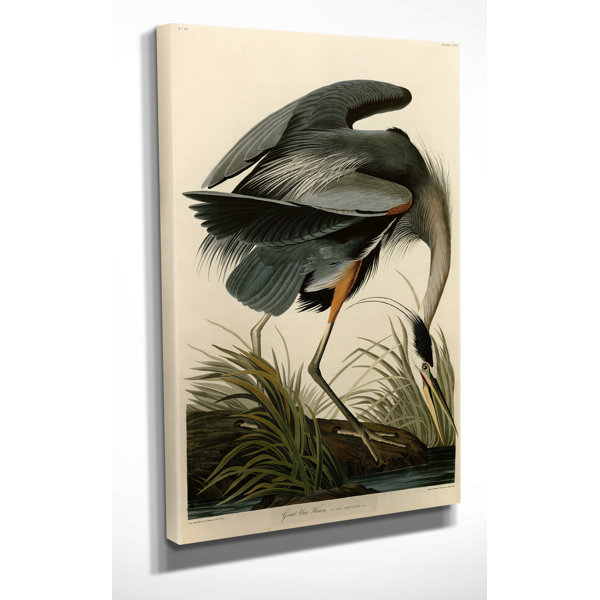Audubon Birds White Heron Painting Wall Art Print Framed 12x16