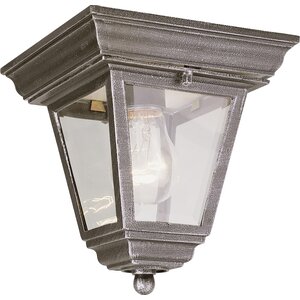 Outdoor 1-Light Flush Mount