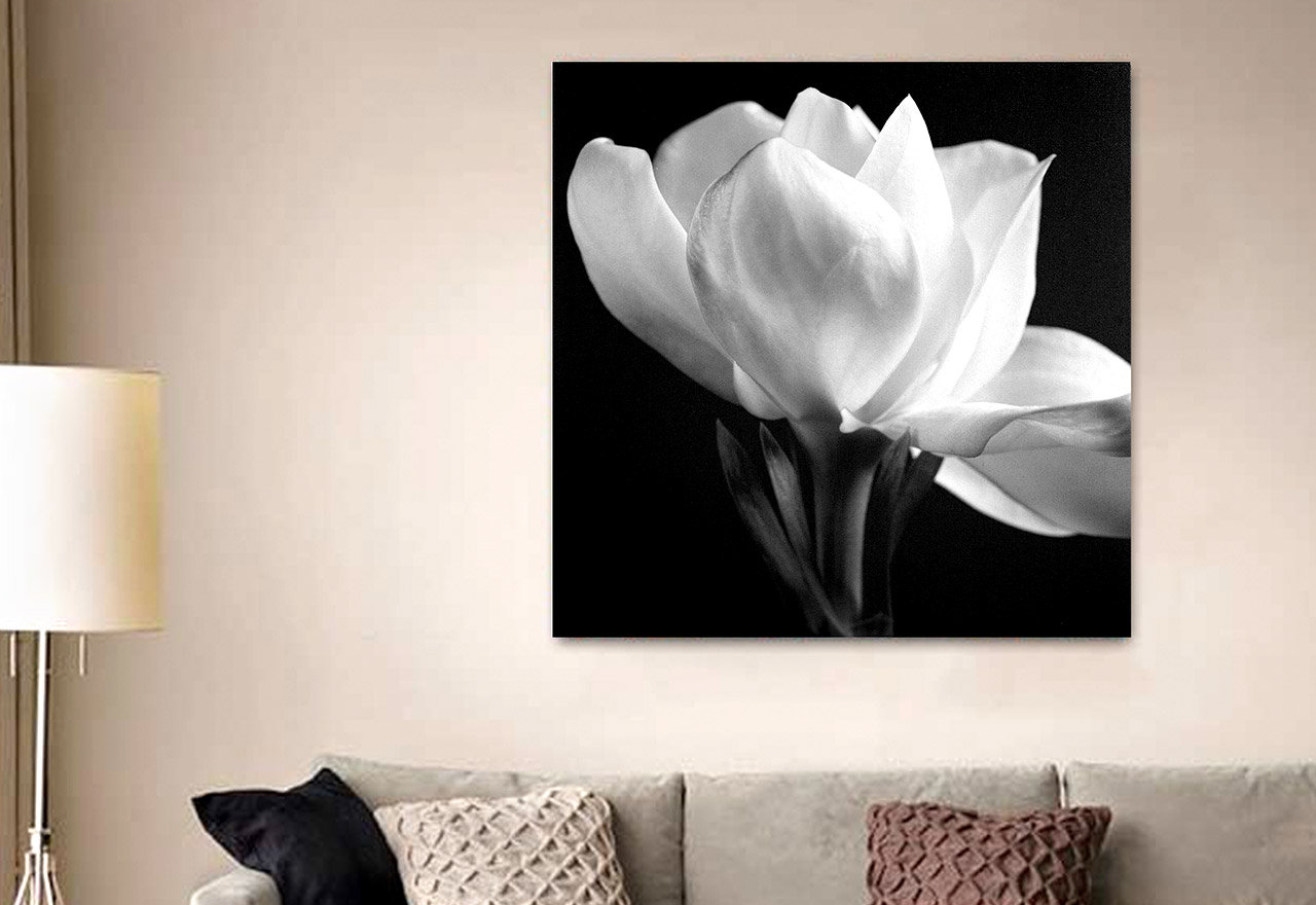 [BIG SALE] Best Sellers Black & White Wall Art You’ll Love In 2021
