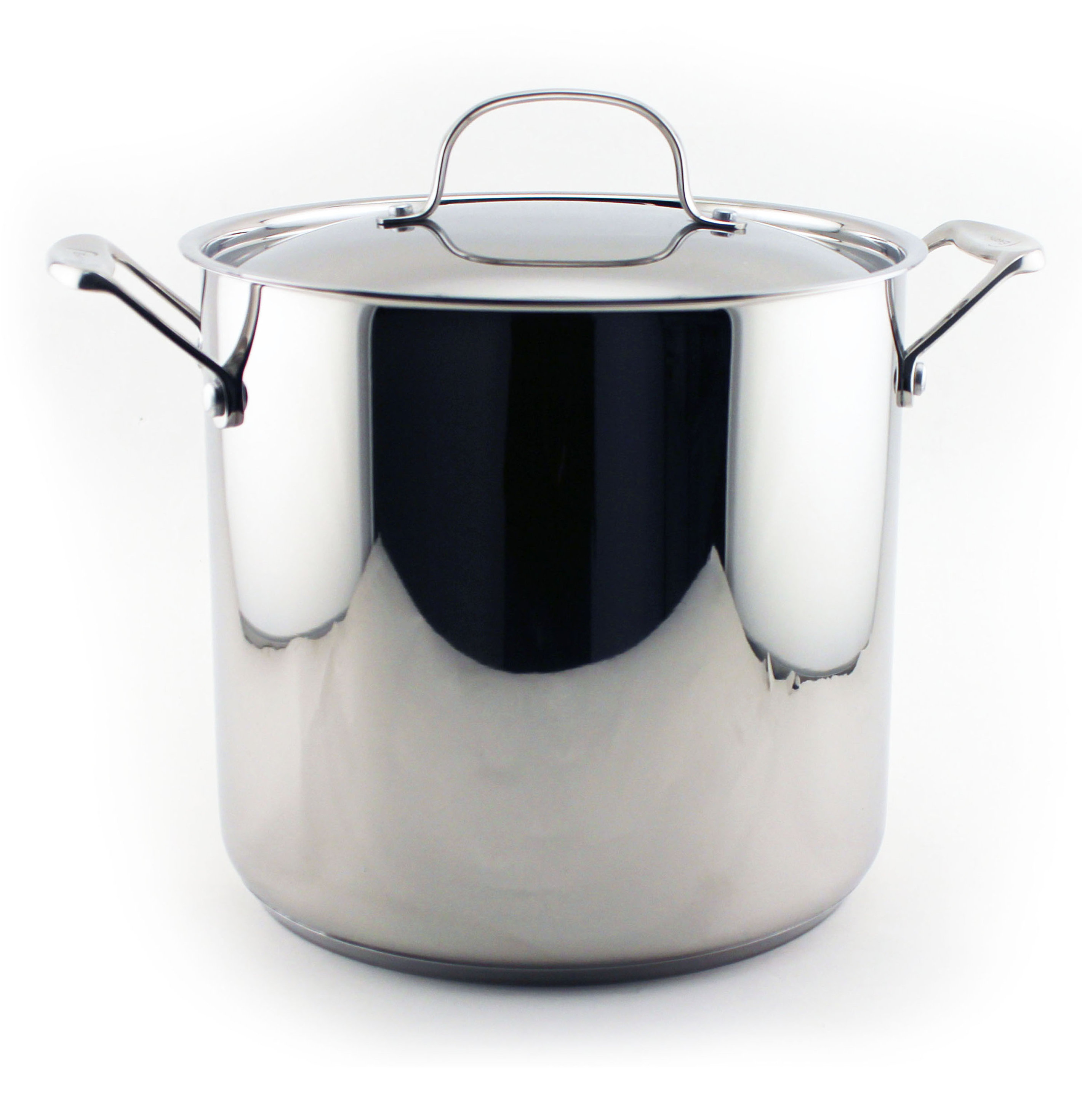 Berghoff International Earthchef 10 Qt Stock Pot With Lid Wayfair