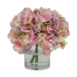 Hydrangea in Glass Water Vase