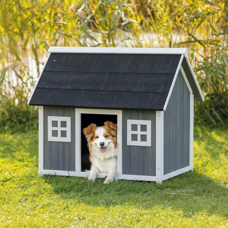 barn style dog house
