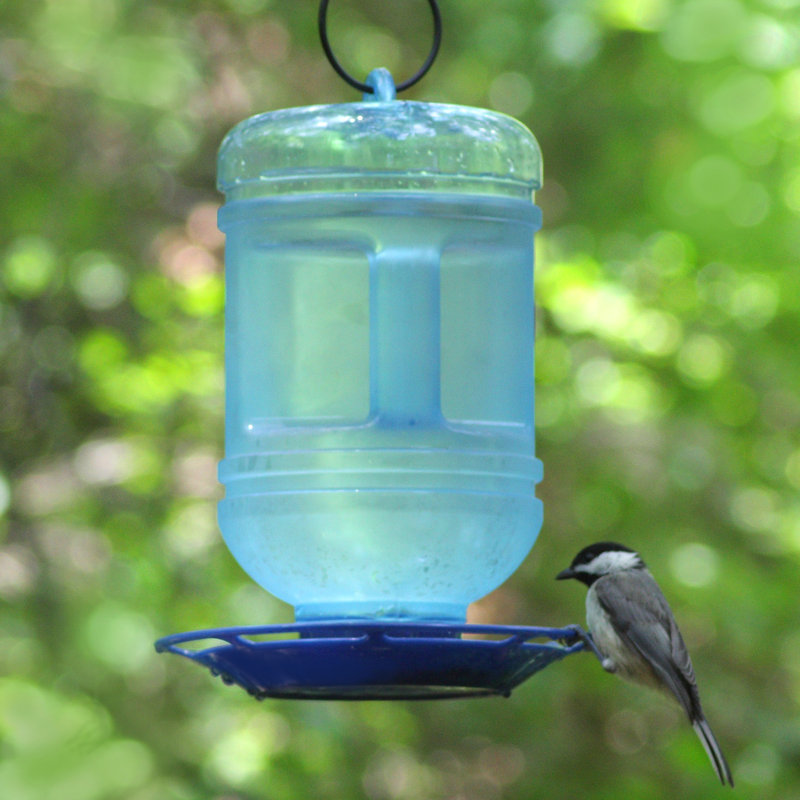 Perky Pet Water Cooler Hummingbird Feeder Reviews Wayfair