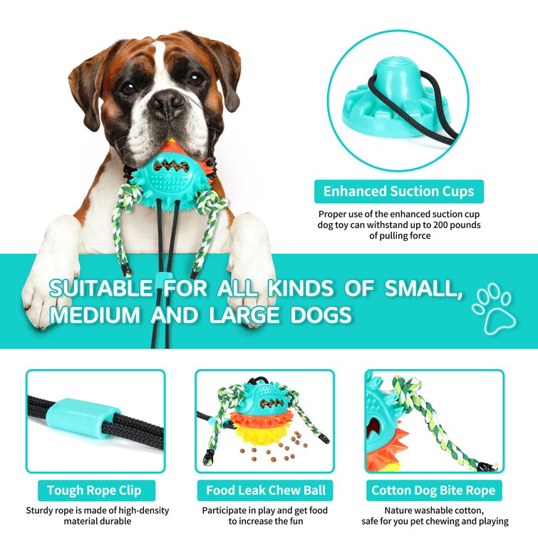 Pet Chewing Toy Bite Resistant Dog Molar Toy Pet Toy for Dogs 