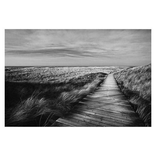 Path through the Dunes on Silt 2.55m x 3.84m Textured Matte Peel & Stick Wall Mural East Urban Home