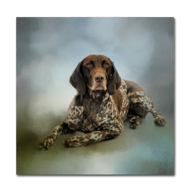 german shorthaired pointer artwork