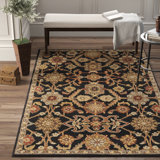 Farmhouse Rustic Black Area Rugs Birch Lane