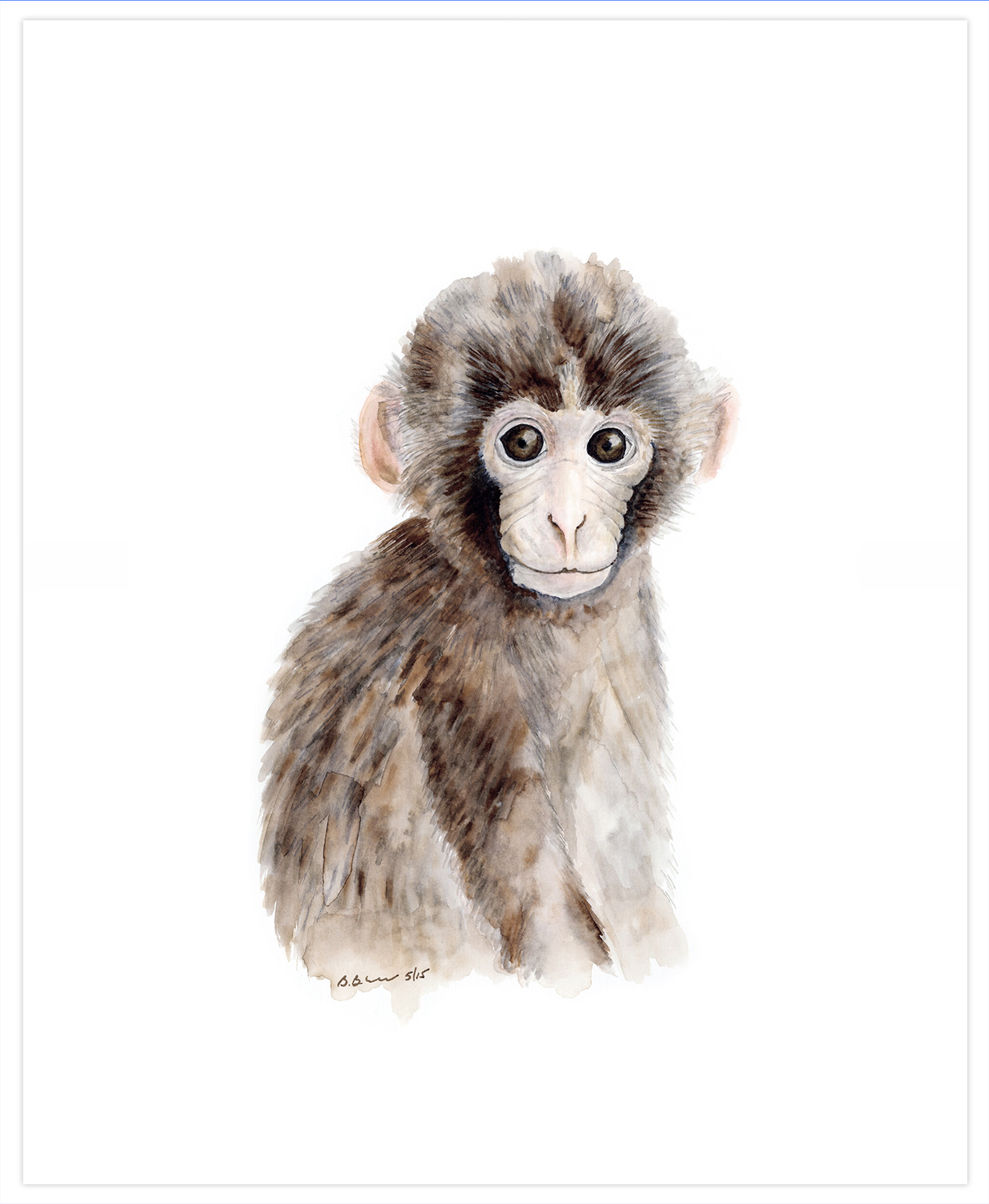 Braziel Baby Monkey Portrait Canvas Art/Framed Art/Paper Print
