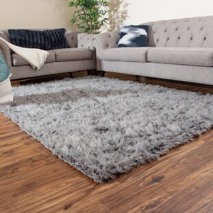 Area Rug Cute Cartoon Forest Animals Soft Hand Floor Carpet for Indoor,Living Dining Room,Bedroom 32 X 20 Inch 