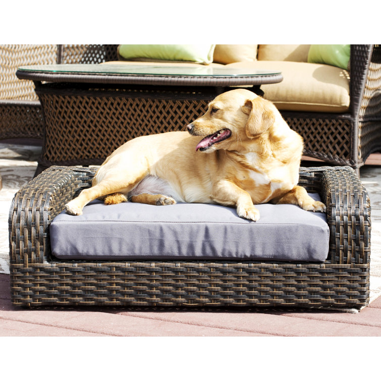 made dog sofa