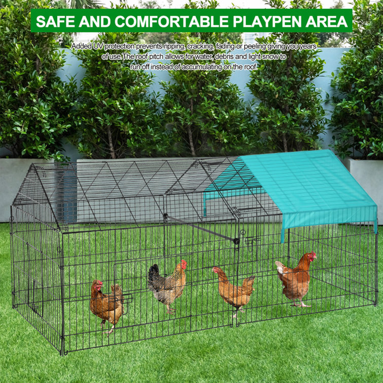 chicken playpen