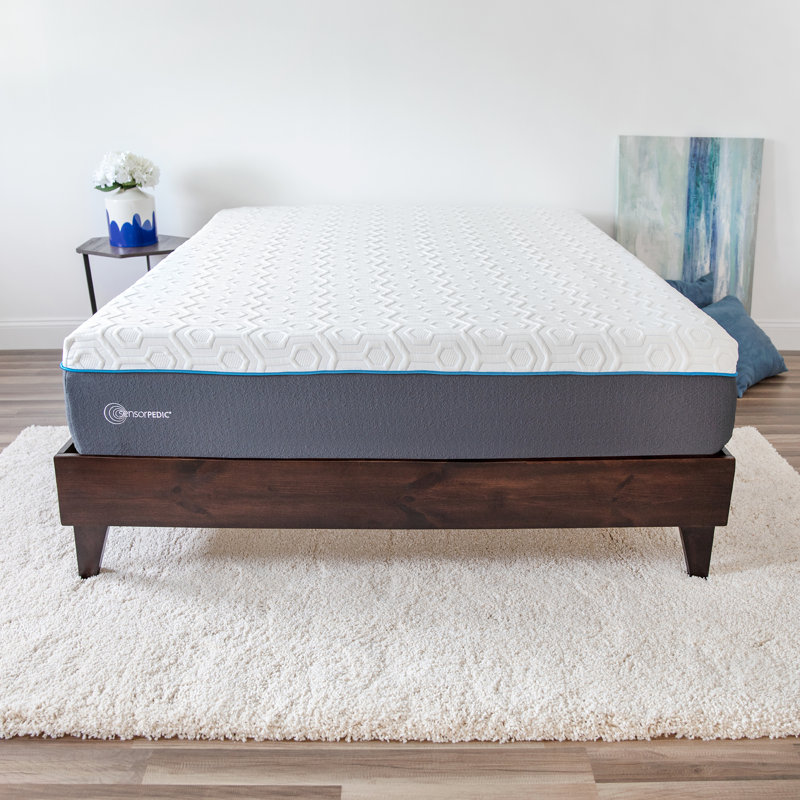 Sensorpedic 12 Plush Gel Memory Foam Mattress Reviews Wayfair