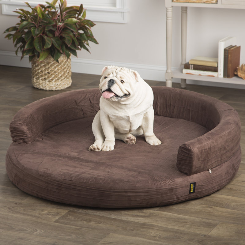 memory foam donut dog bed