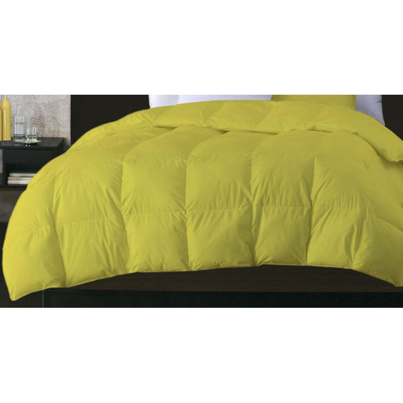 Latitude Run All Season Down Feather Blend Down Comforter Reviews Wayfair