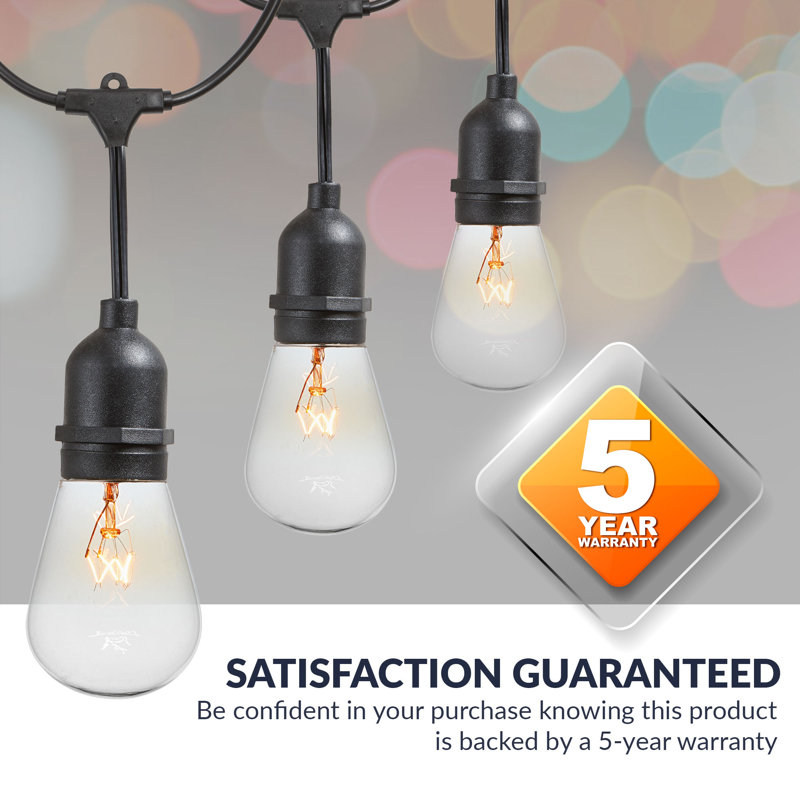 Williston Forge Oneman 48 Outdoor 15 Bulb Standard String Light