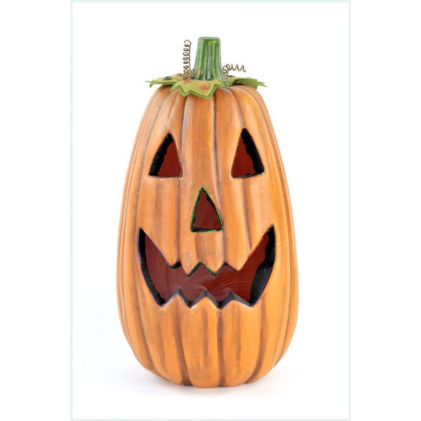 Fiber Optic Pumpkin Wayfair