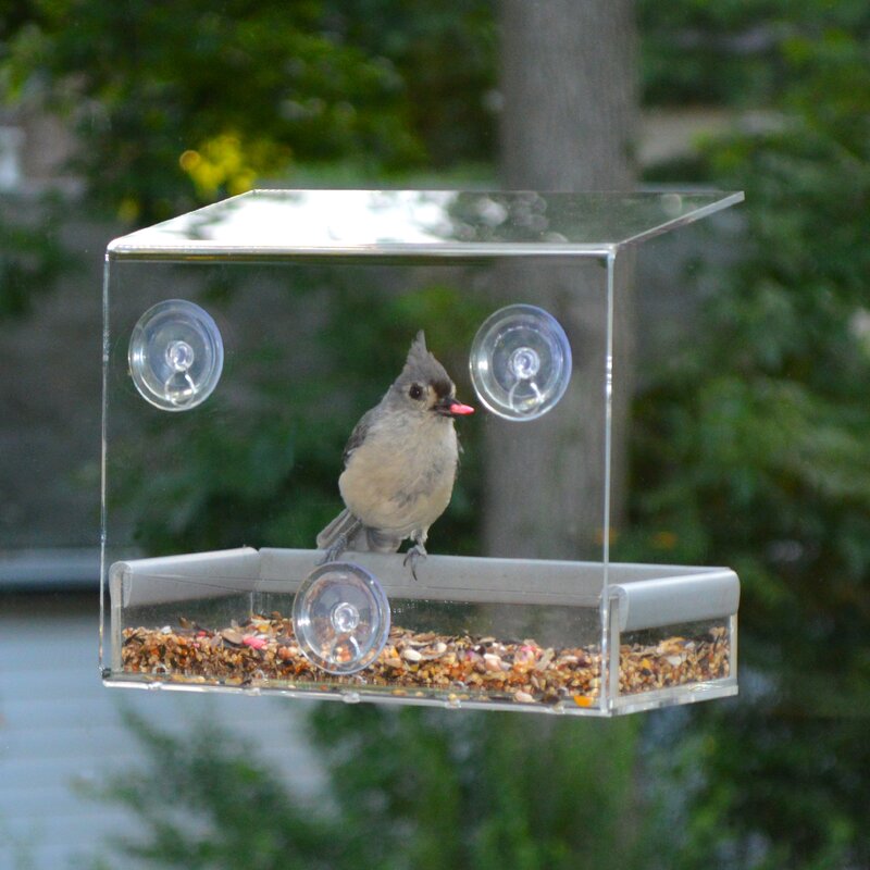 Petfusion Tranquility Window Tray Bird Feeder Reviews Wayfair