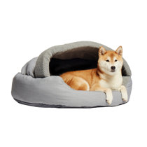 wayfair large dog beds