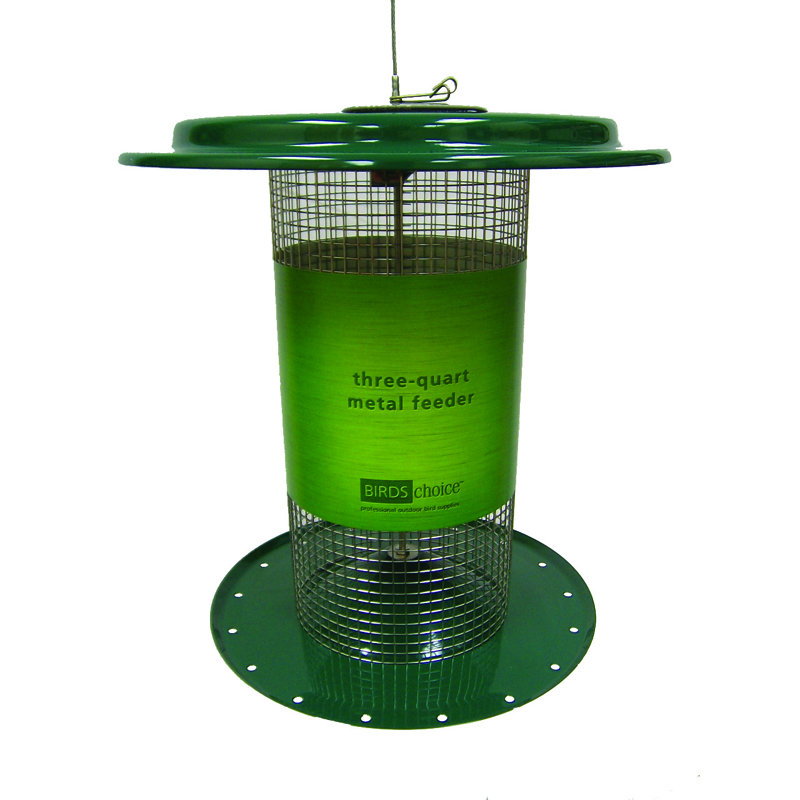 Birds Choice 3 Quart Sunflower Tube Bird Feeder Wayfair