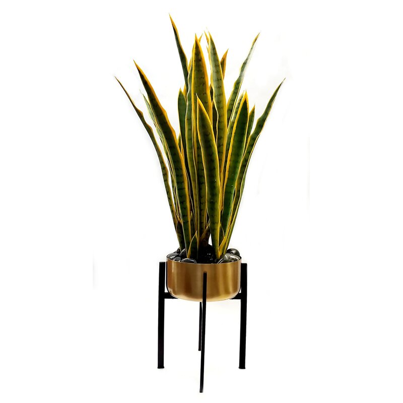 Foundry Select 3 Artificial Snake Plant in Pot Set | Wayfair