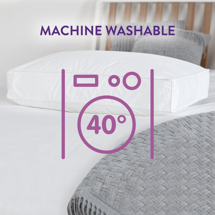 duck feather box pillows