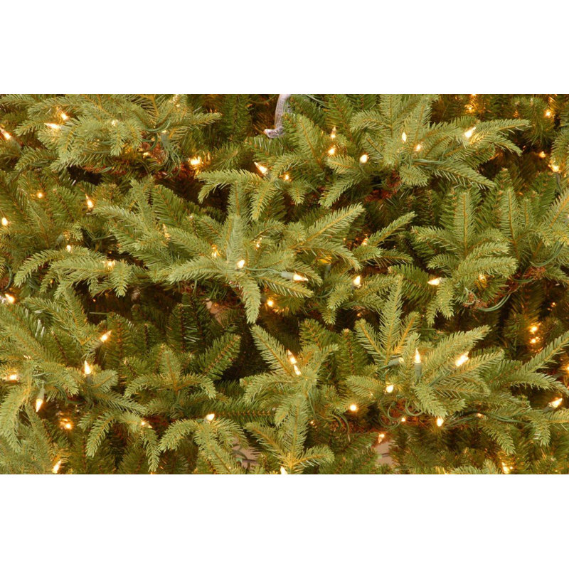 75 frasier green artificial christmas tree with 1000 clear lights and stand - Frasier Christmas Tree 75 frasier green artificial christmas tree with 1000 clear lights and stand - Frasier Christmas Tree
