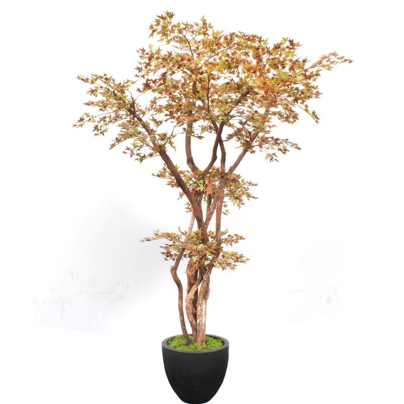 Dalmarko Designs autumn faux maple tree | Wayfair