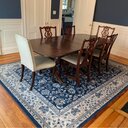 Astoria Grand Brette Oriental Area Rug in Gray & Reviews | Wayfair