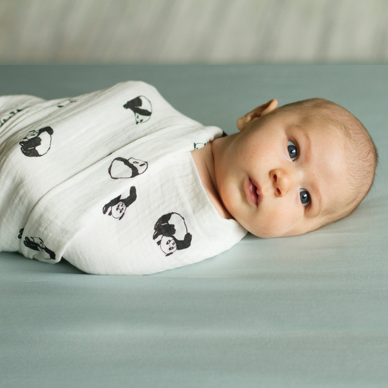 Bedvoyage Panda Baby Gift Essentials 14 Piece Crib Bedding Set