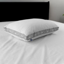 sealy extra firm support pillow
