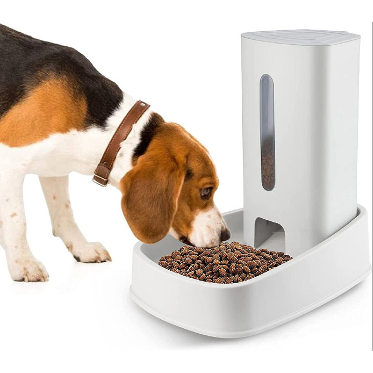 big w pet feeder