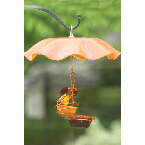 Birds Choice Single Cup Single Fruit Oriole Tray Bird Feeder Wayfair