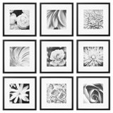 Square Picture Frames Joss Main