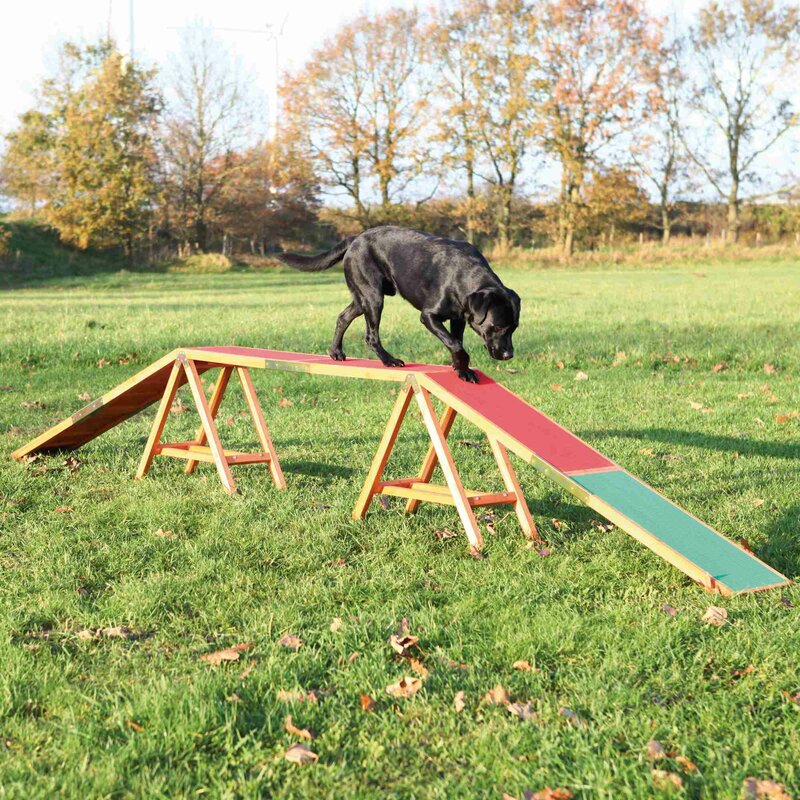 trixie dog trainer