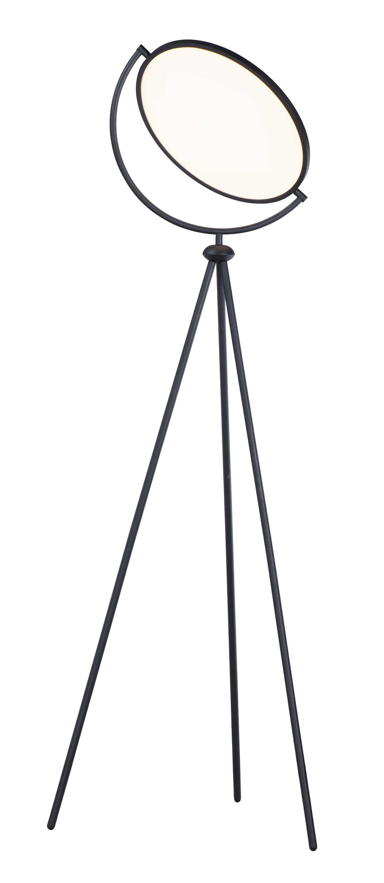AllModern Dex 68" LED Tripod Floor Lamp Wayfair