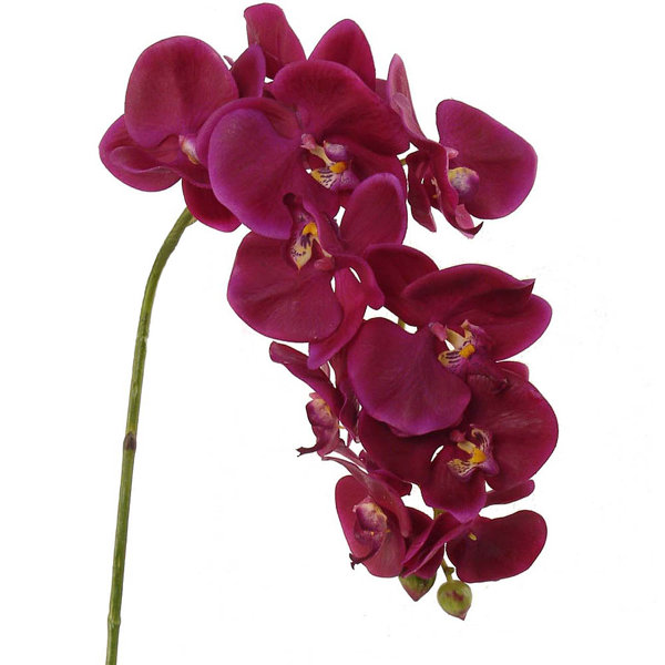 Faux Orchid Stems Wayfair
