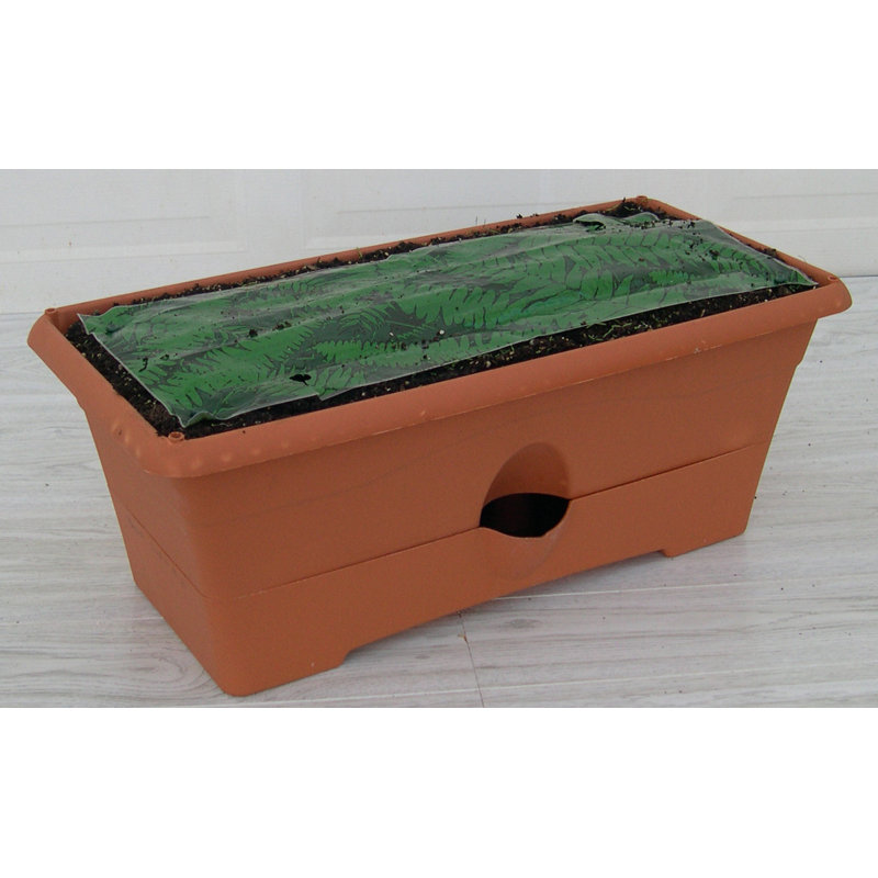 Garden Patch Ceramic Planter Box & Reviews Wayfair