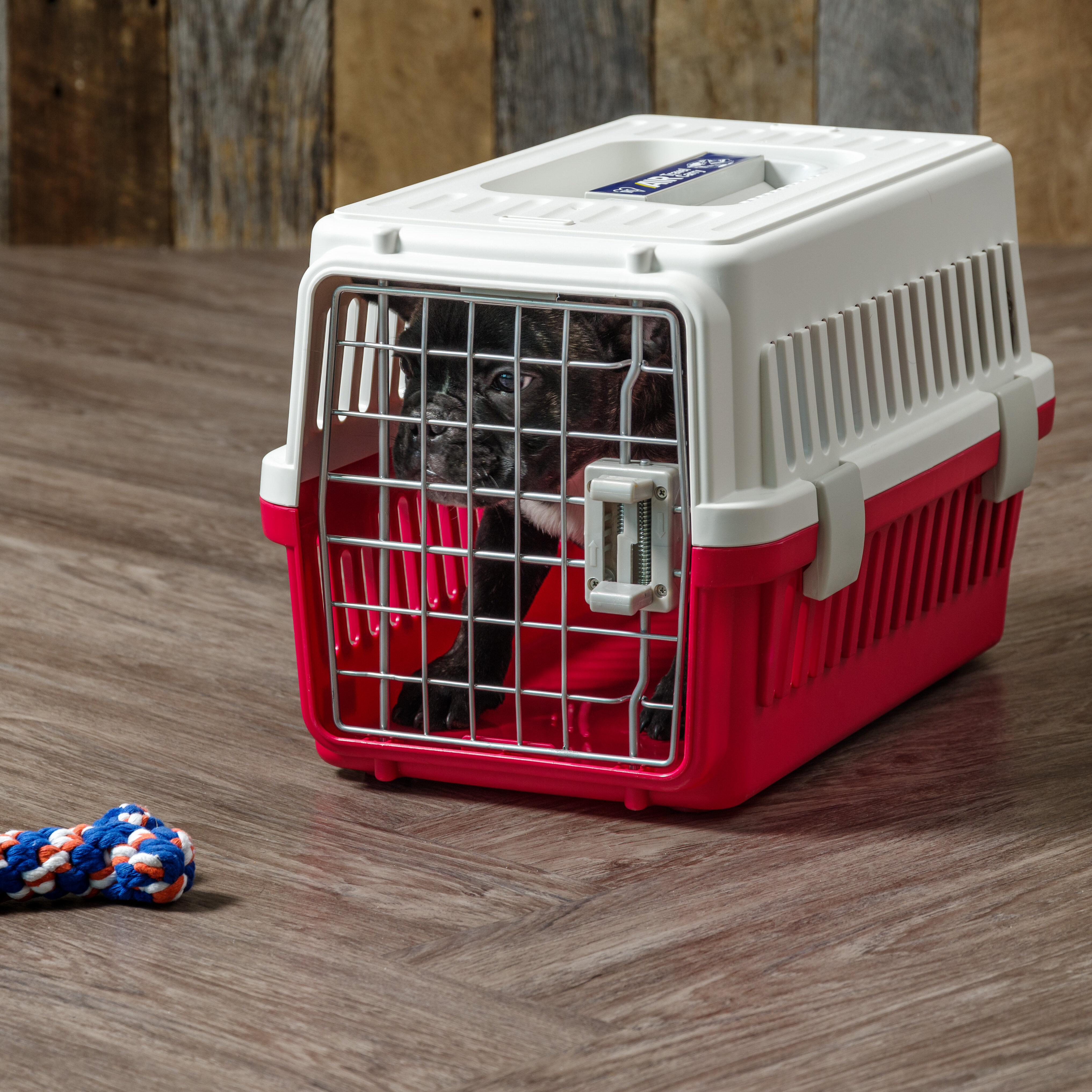 pet travel crate