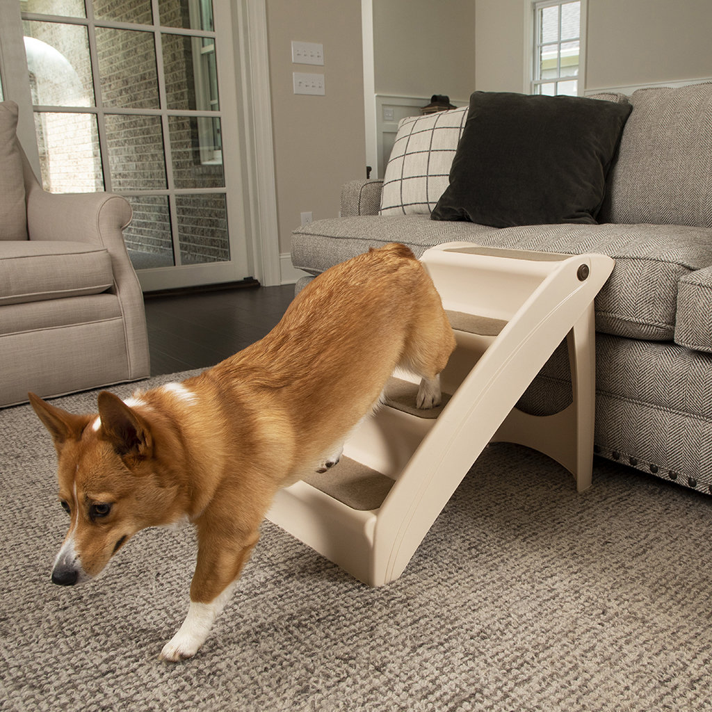 Solvit Pupstep Plus 4 Step Pet Stair Reviews Wayfair