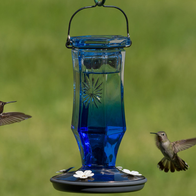 Perky Pet Sapphire Starburst Vintage Hummingbird Feeder Reviews