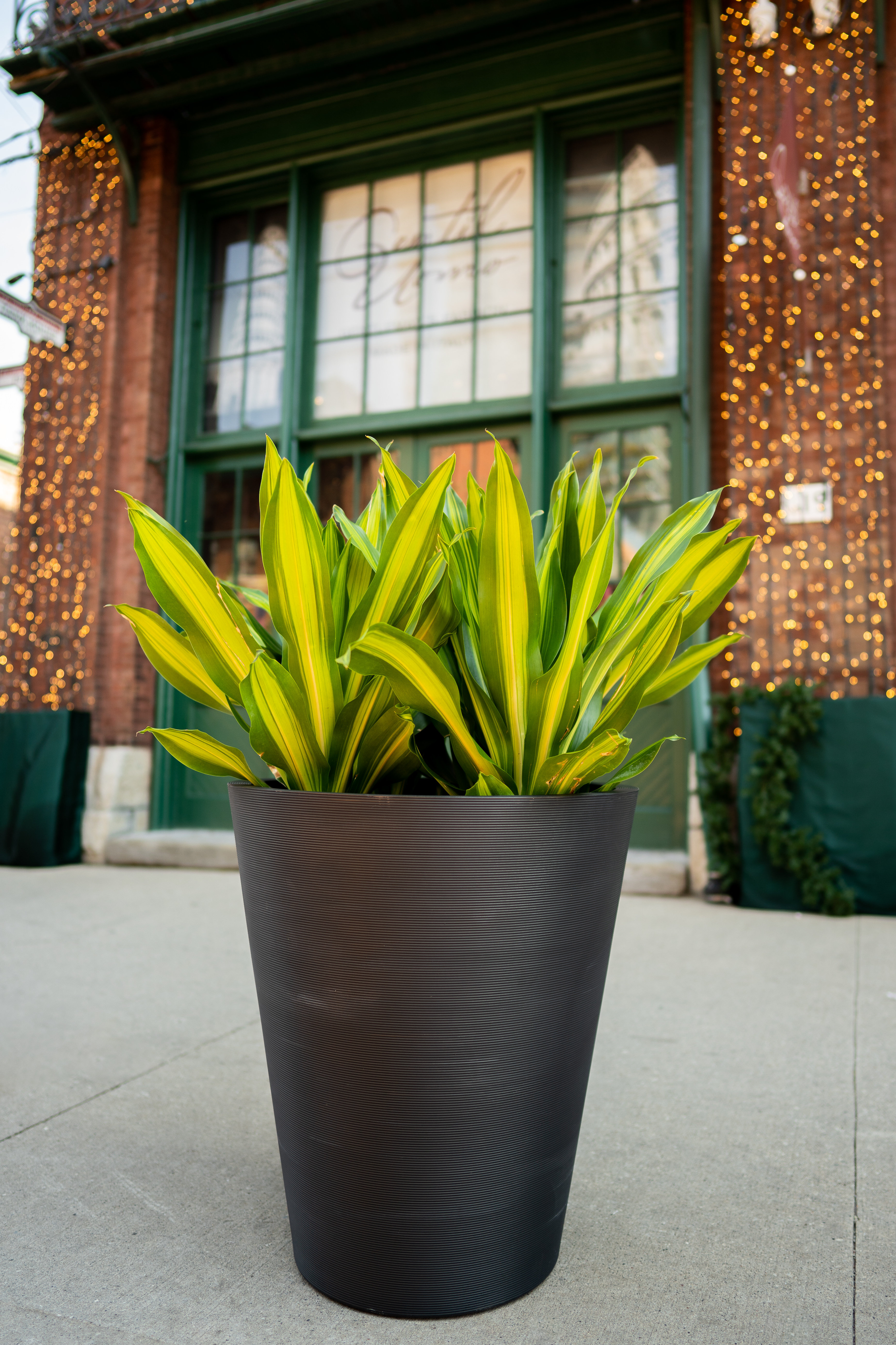 wayfair balcony planters on Veradek Pro Series Pot Planter Reviews Wayfair