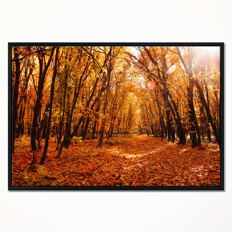 East Urban Home Landscape Yellow Falling Leaves In Forest Framed Photographic Print On Wrapped Canvas Wayfair