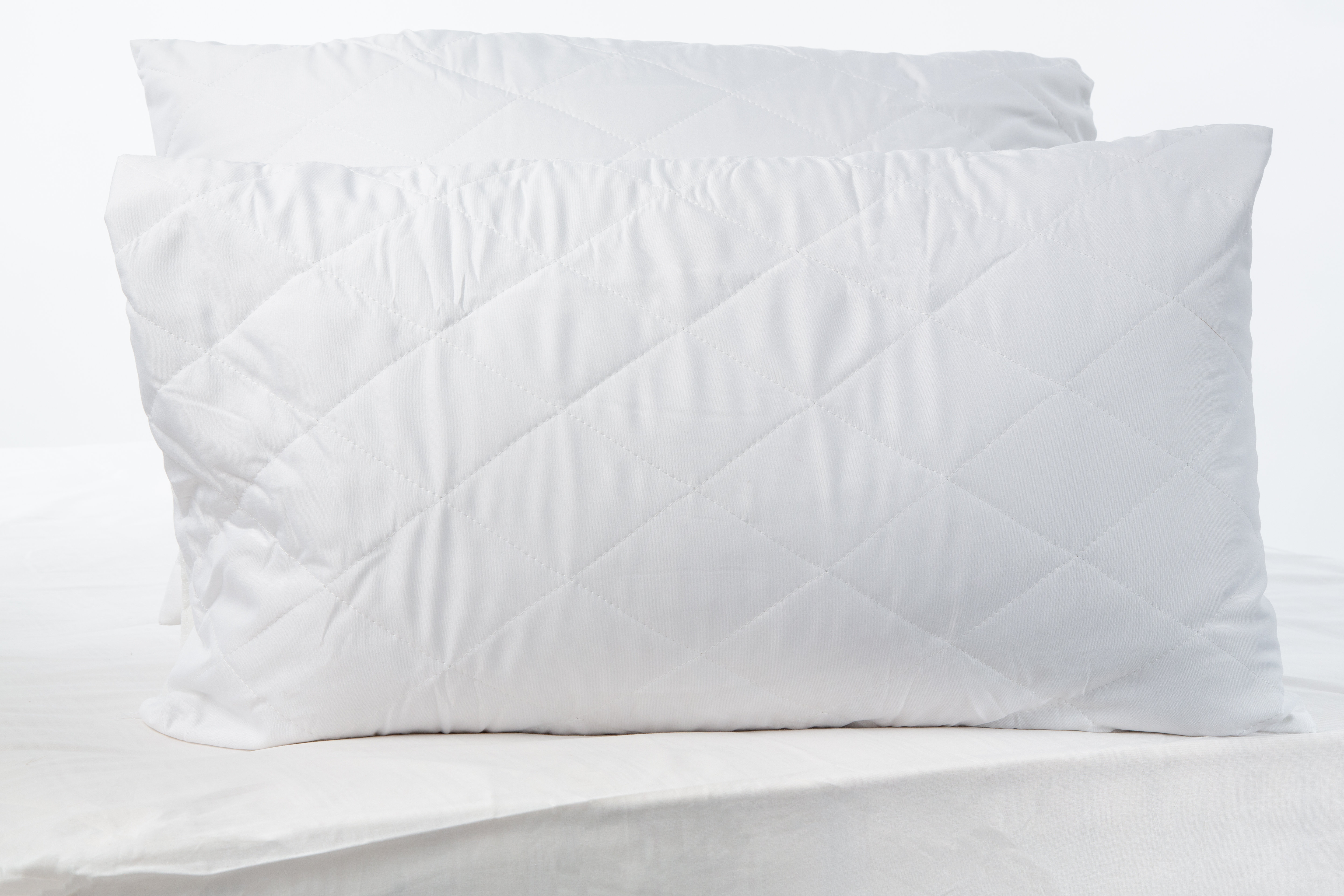 Wayfair Basics Pair Of Quilted Pillow Protectors Reviews