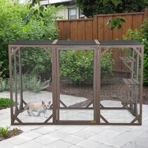 Cages Et Parcs Pour Chats Wayfair Ca